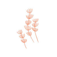 HookLineBos hooklinebos hookandline Sticker