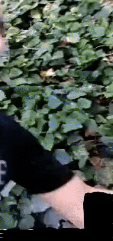 TurkmenYurtTV giphygifmaker GIF