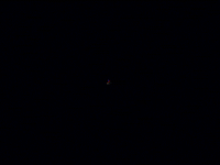 Confused Star Fox GIF by Sabato Visconti