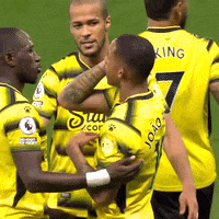 Celebrate Premier League GIF by Watford Football Club