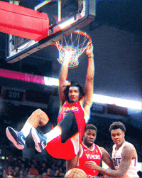 RioGrandeValleyVipers sports basketball nba vipers GIF