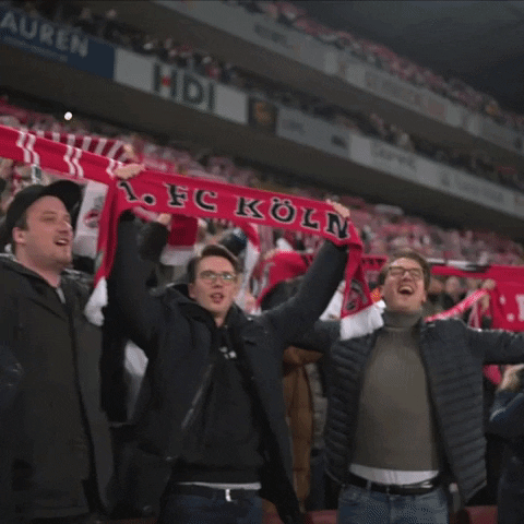 1 Fc Cologne Football GIF by 1. FC Köln