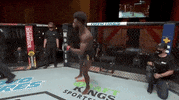 Aljamain Sterling Sport GIF by UFC