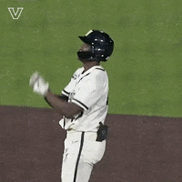 Sport Celebration GIF by Vanderbilt Athletics