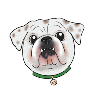 Dog Molly Sticker by Antipodes Skincare