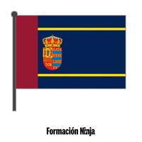 Comunidad De Madrid Flag GIF by Formación Ninja