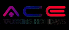 Aceworkingholidays ace maga ibiza napa GIF