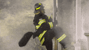 foxtv fox foxtv episode 14 fox tv GIF