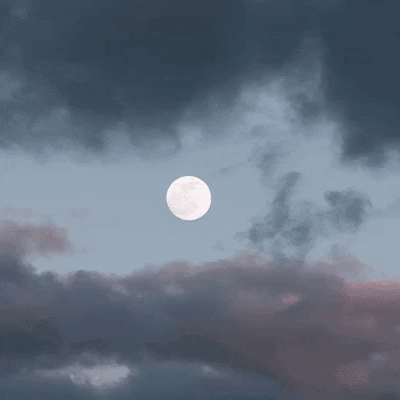 GIF by WLTH