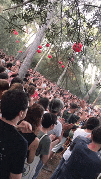 well done applause GIF by Gnomo