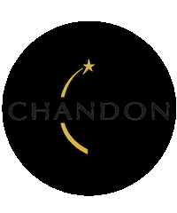 sparkling wine dance Sticker by Chandon India