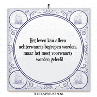 Humor Nl GIF by Tegelspreuken.nl