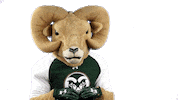 Csurams Gorams Sticker by Colorado State Rams