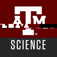 Glitch Aggies GIF by TAMUScience