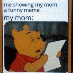 Mbss giphyupload meme show bear GIF