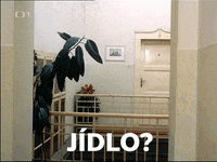 ceska_televize ceskatelevize czechtv uz jidlo GIF