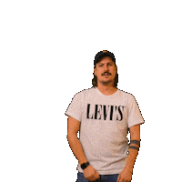 antennekaernten ben kärnten antenne antennekärnten Sticker