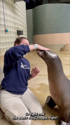Trainer and Sea Lion Demonstrate 'Strong Bond' 