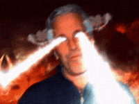 Jepry Stein GIF