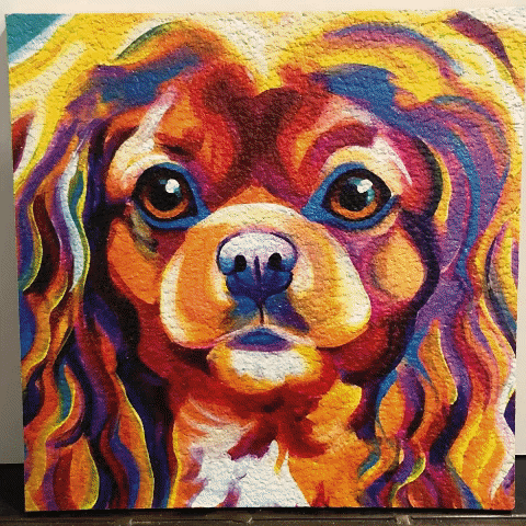 coolcorks giphygifmaker GIF