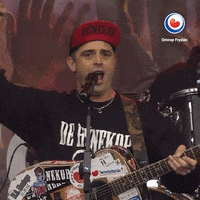 omrop_fryslan pet fries feest friesland GIF