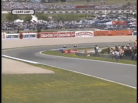 Dr_P giphygifmaker 500cc GIF