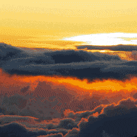 GIF by Exclusive Motivation