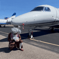 Private Jet Hair Flip GIF
