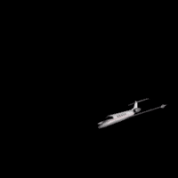 snoozlestudio  GIF