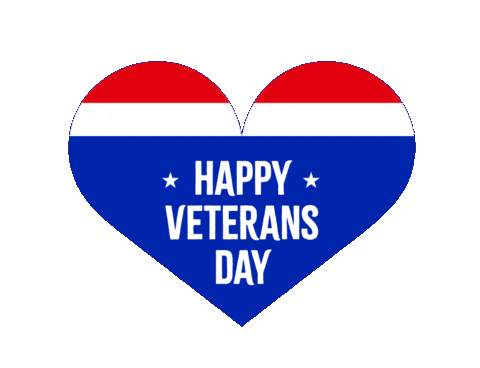 Air Force Usa Sticker by Jessica Lau