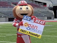 LoganServices osu buckeyes ohio state ohio state buckeyes GIF