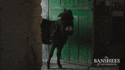 Donkey Banshees GIF by Searchlight Pictures