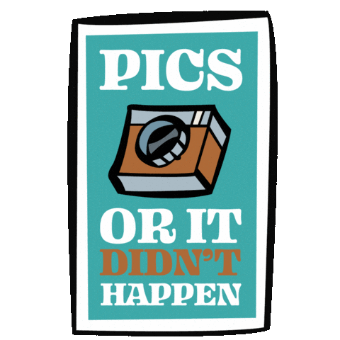 Disney World Ap Sticker by Walt Disney World Annual Passholders