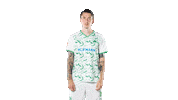 Bundesliga What Sticker by SpVgg Greuther Fürth
