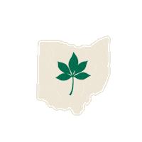 Voting 2020 Election Sticker by Creative Courage