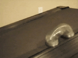 perfect loop GIF