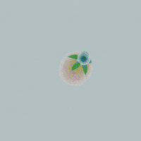 Flower Meditation GIF by Caren Wenqing Ye