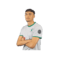 Sport Heerlen Sticker by Groene ster