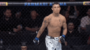 Mixed Martial Arts Sport GIF by UFC