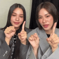 Ustheseries Presstour GIF