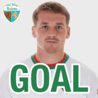 the new saints football GIF by TNSFC