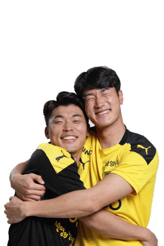 Kleague Sticker by JeonnamDragonsFootballClub