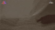 Seduce Boys Love GIF by Globe Studios