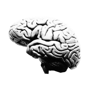 Brain Lab Sticker by Your One and Only