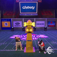 GIF by Puppy Bowl