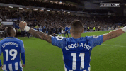 Soccer Futbol GIF by Brighton & Hove Albion Football Club