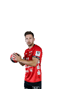 Sport Handball Sticker by Stralsunder HV