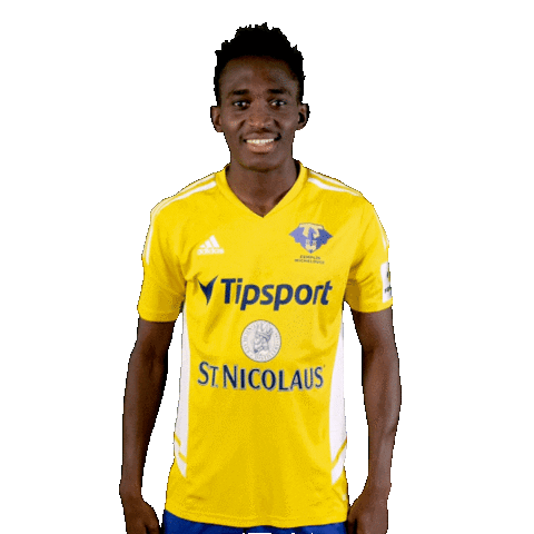 Football Soccer Sticker by Fortuna Liga