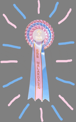 someswbmalardalen giphyupload ribbon swb foal GIF