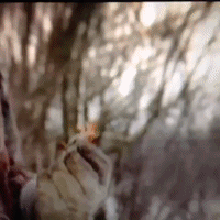 GIF by andymilonakis